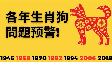 2023屬狗運勢1970|属狗1970年出生的人2023年全年运程运势